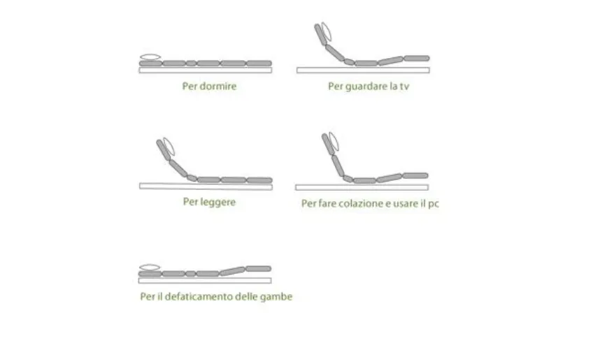 Rete Dorsal posizioni